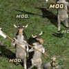 Avatar moo